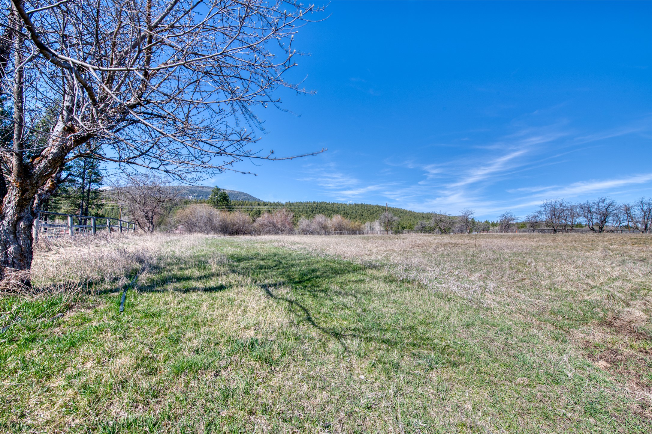 3544 McIntosh Lane