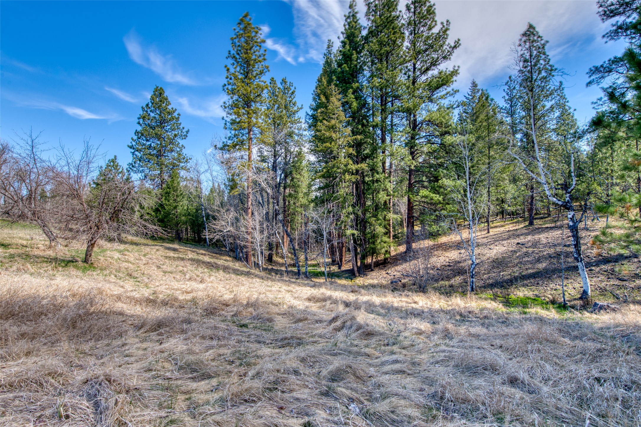 3544 McIntosh Lane