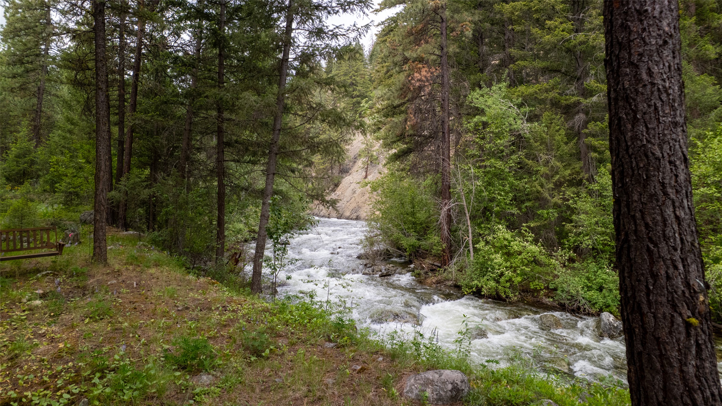 1062 Bear Creek Trail