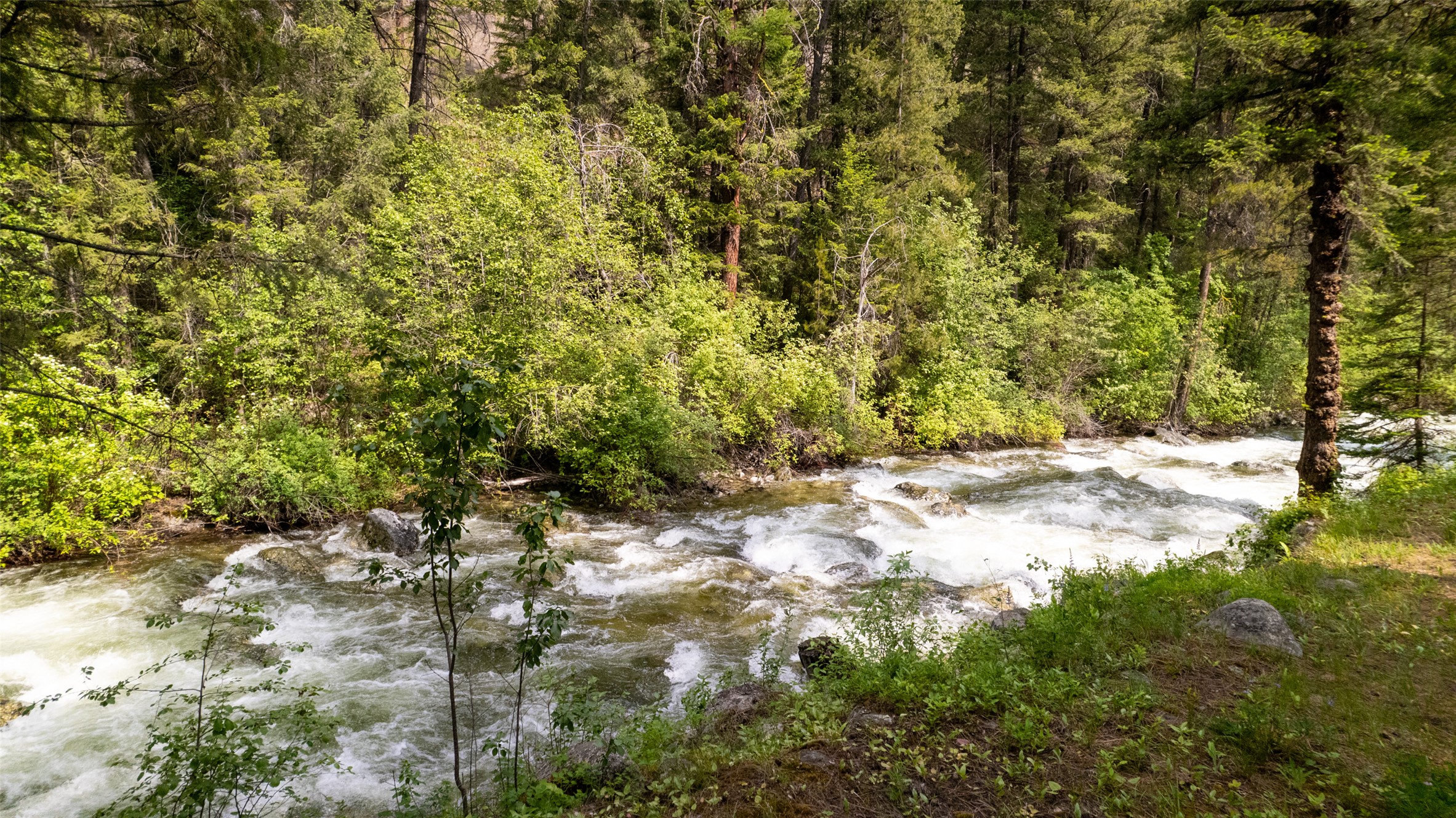 1062 Bear Creek Trail