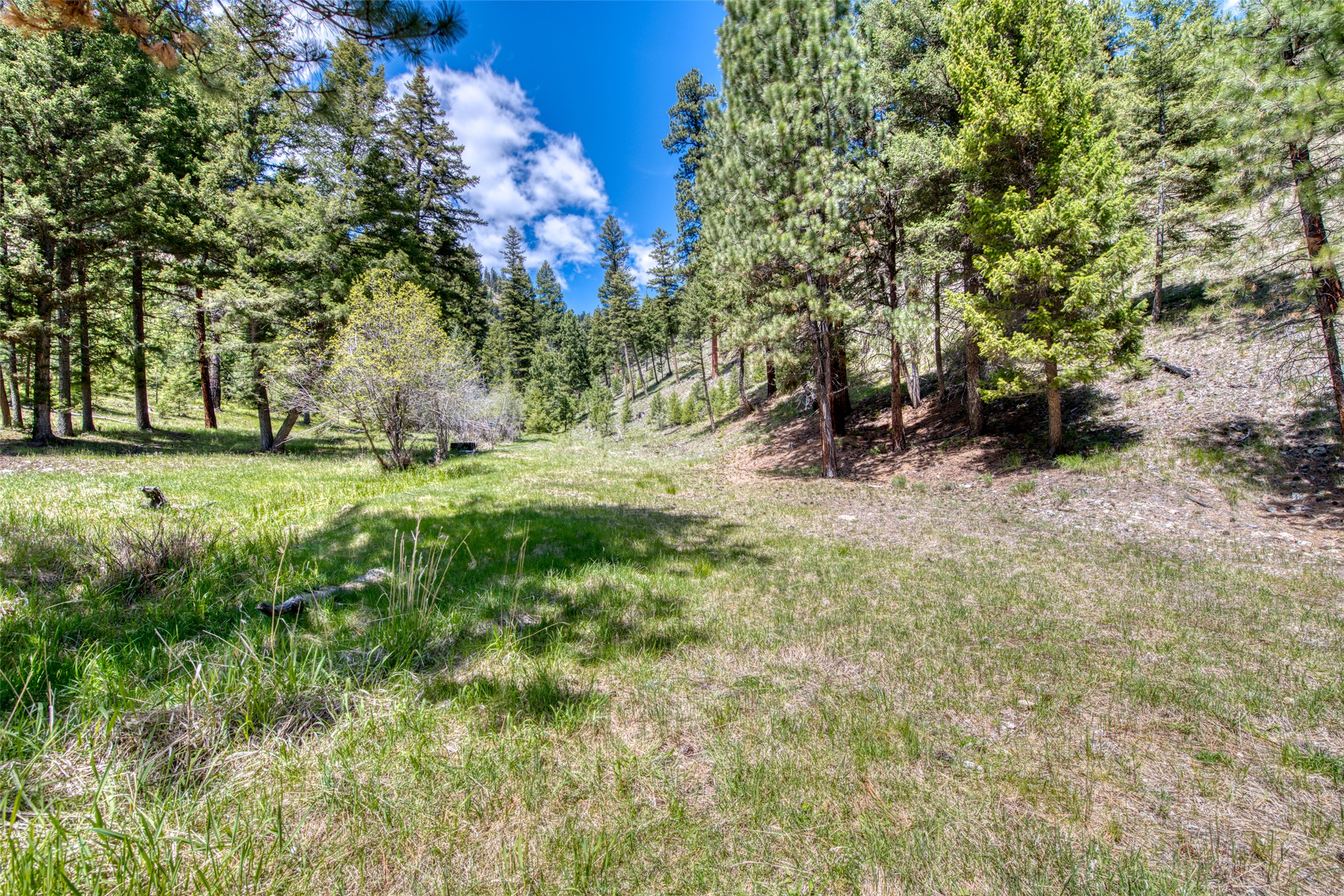 77 Alta Meadow Trail