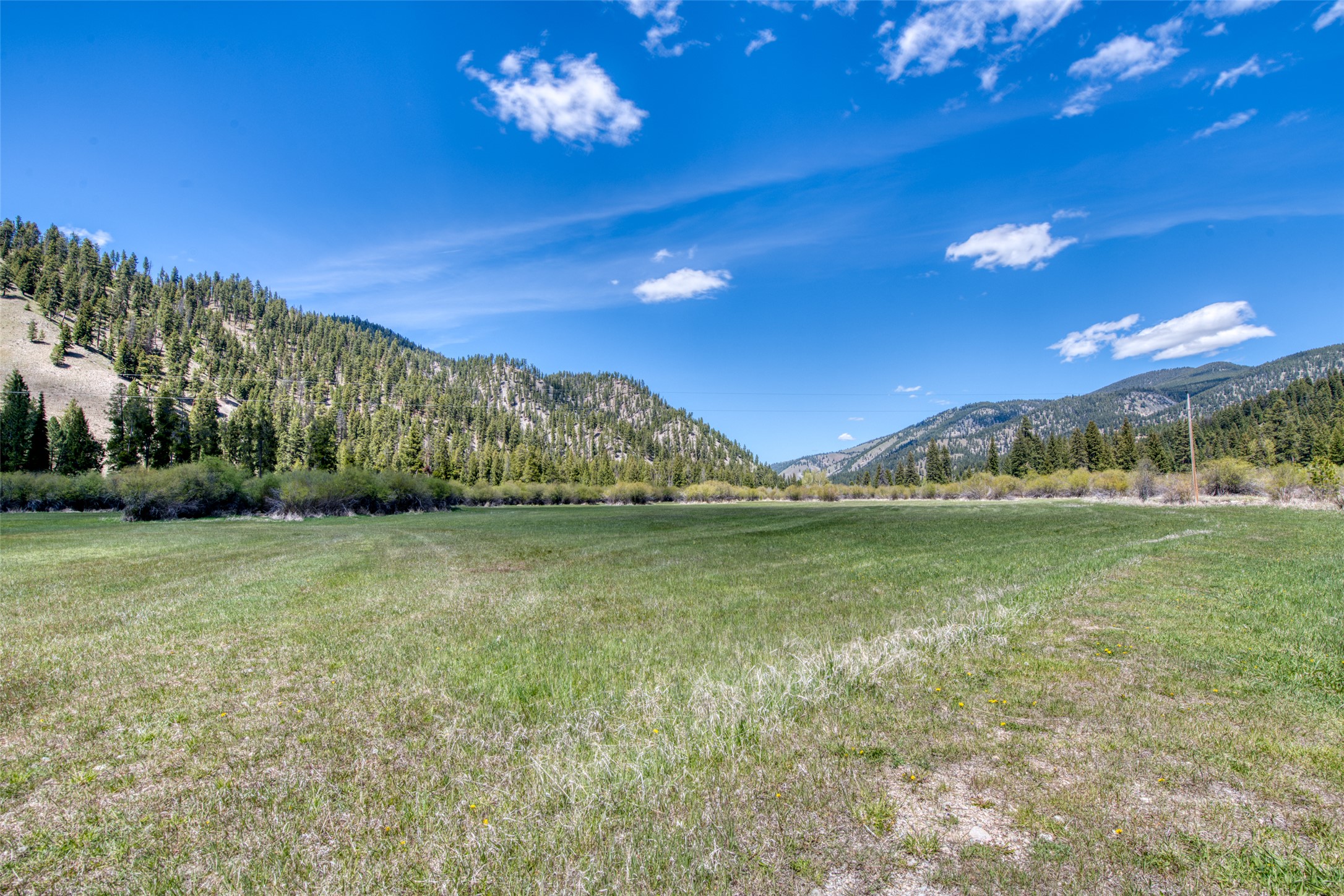 77 Alta Meadow Trail