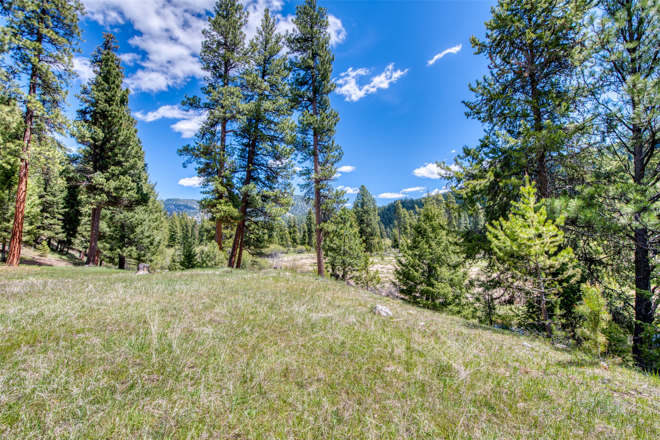 77 Alta Meadow Trail