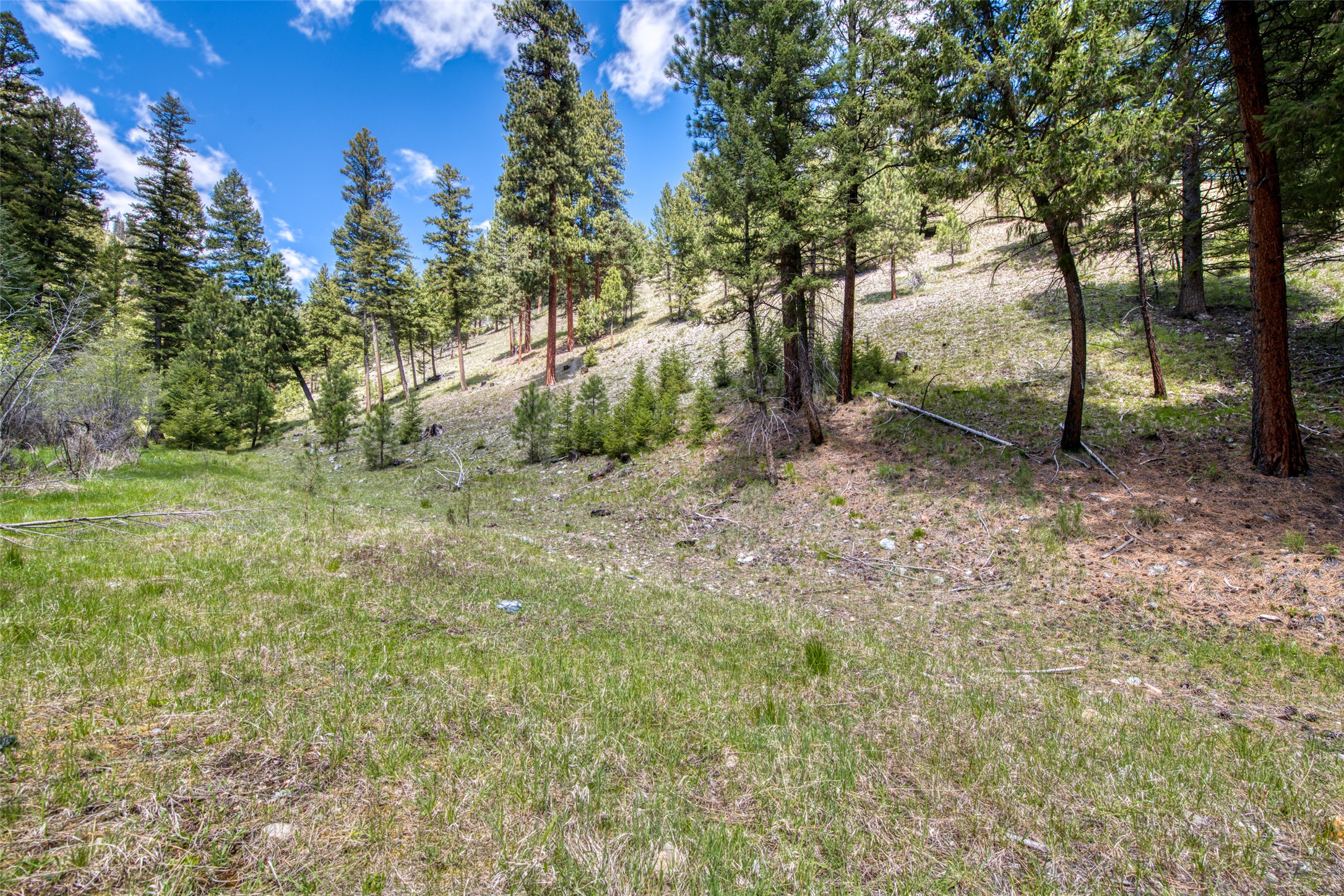 77 Alta Meadow Trail
