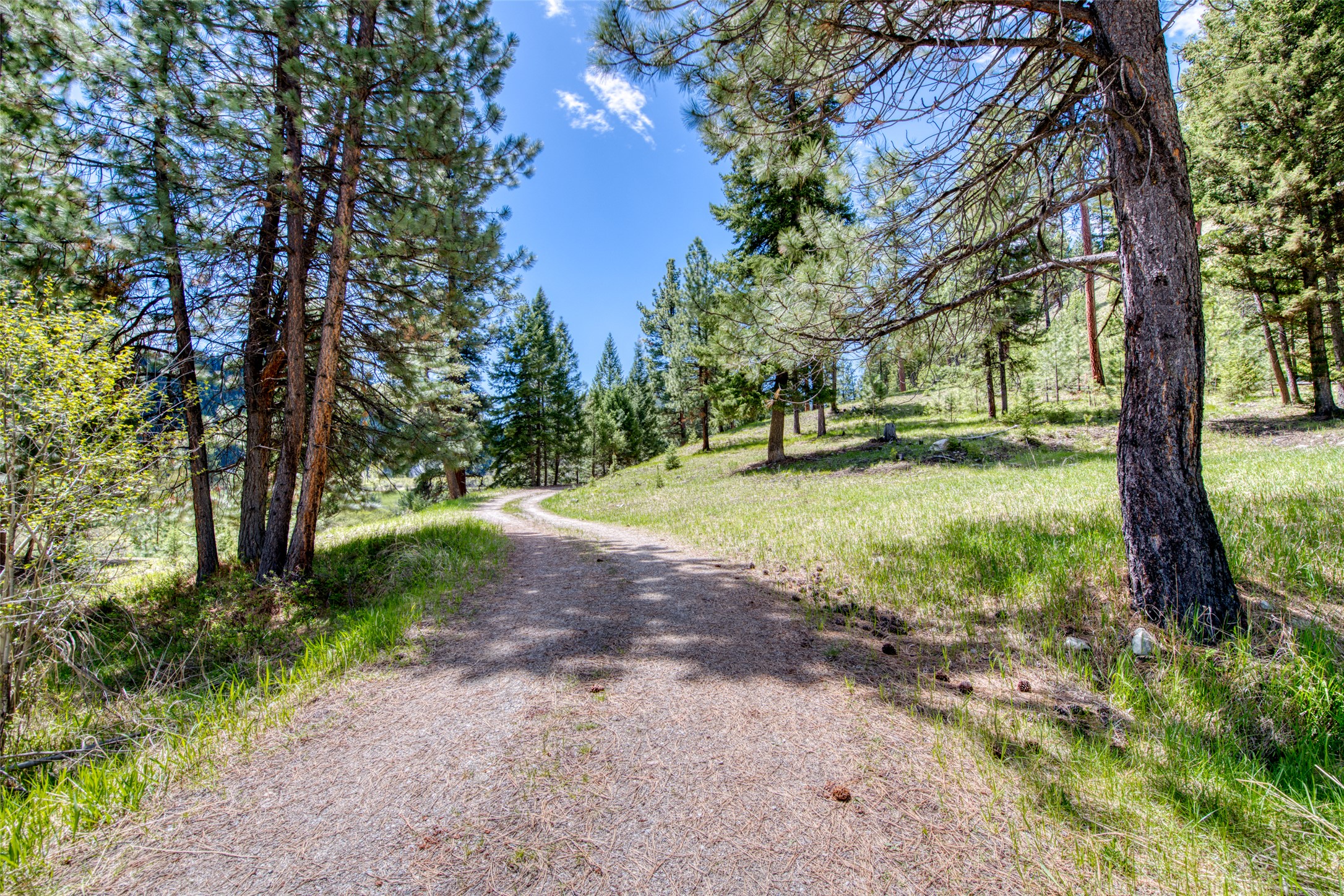 77 Alta Meadow Trail