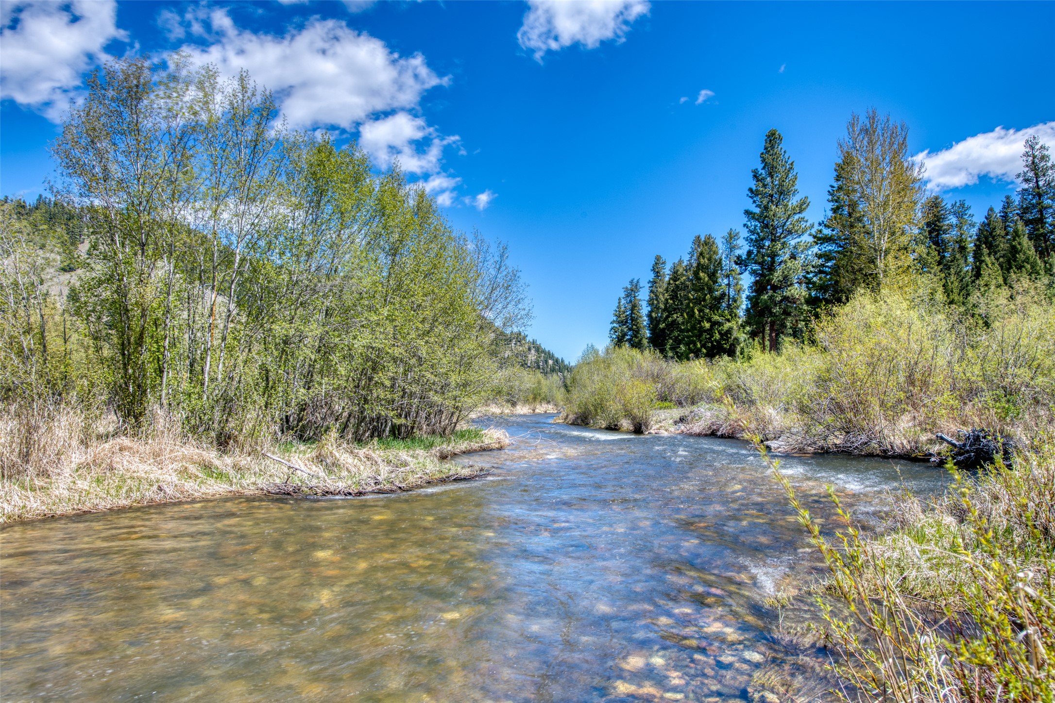 77 Alta Meadow Trail