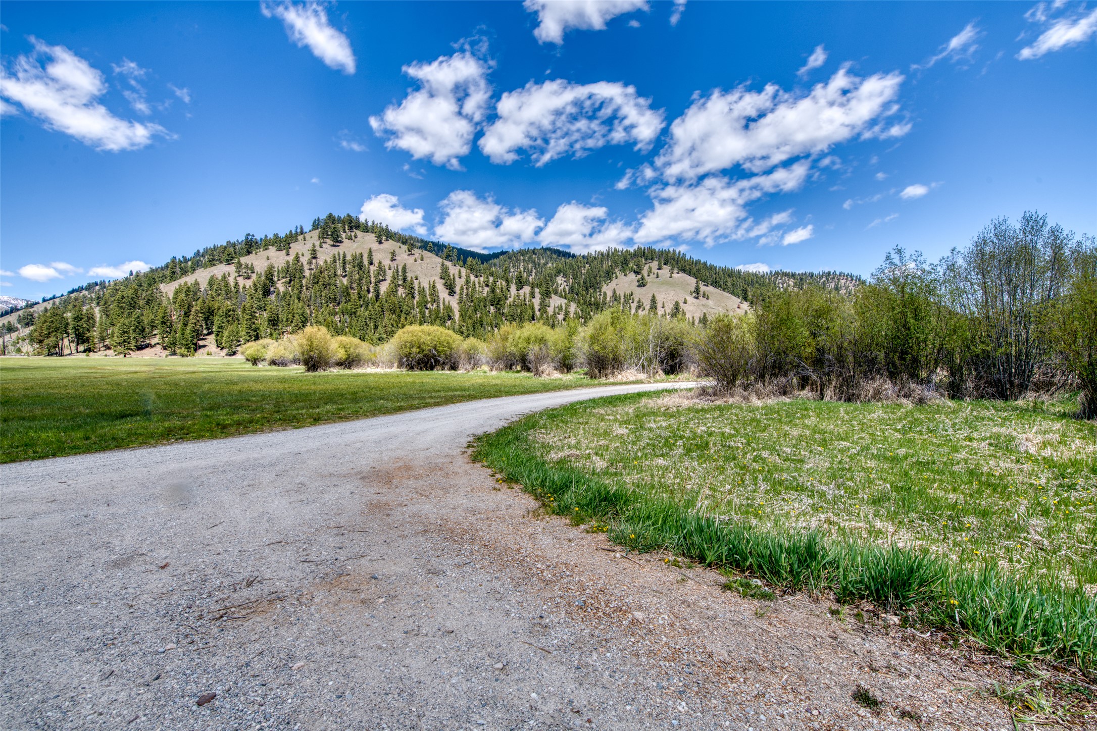 77 Alta Meadow Trail