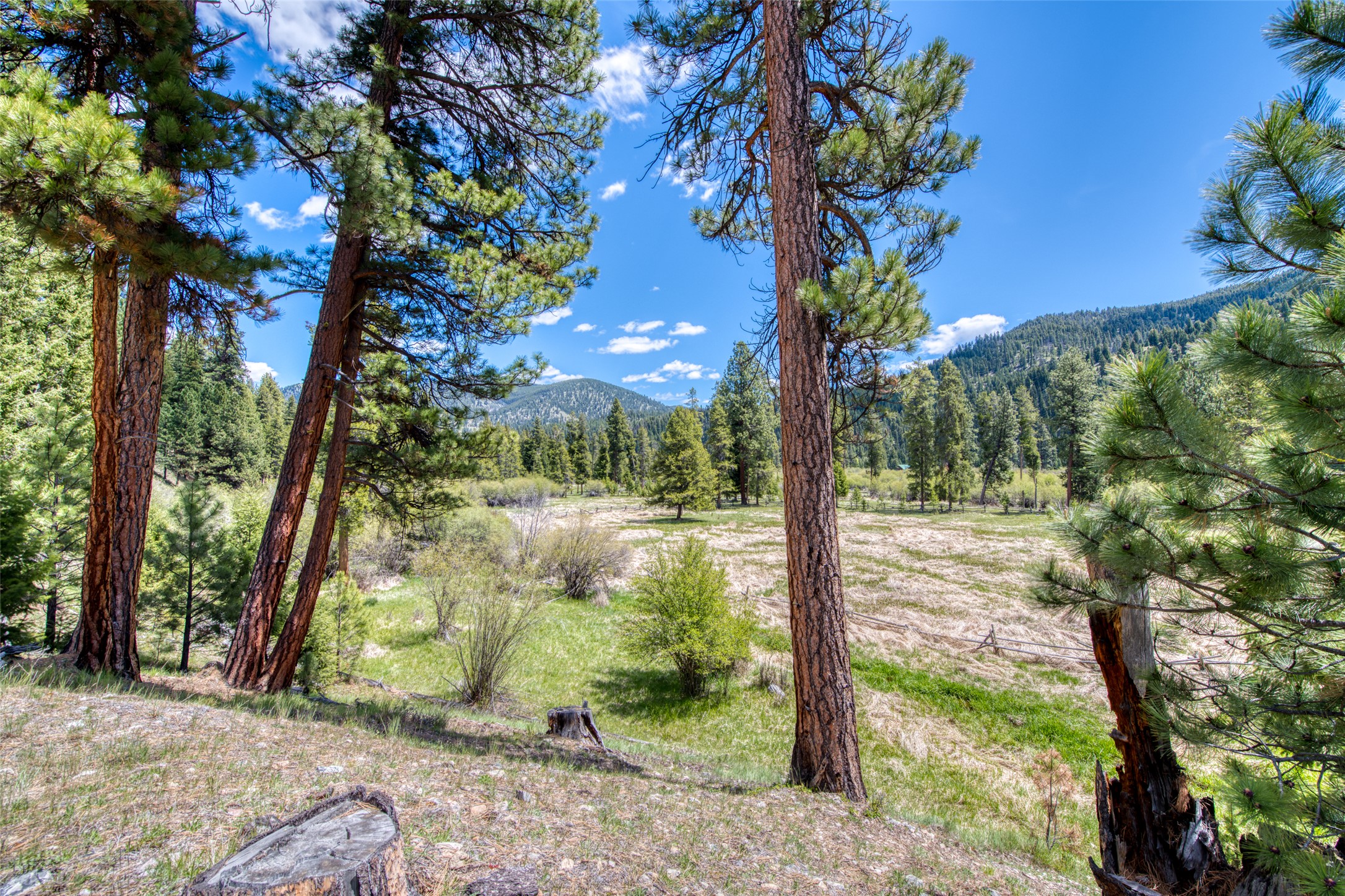 77 Alta Meadow Trail