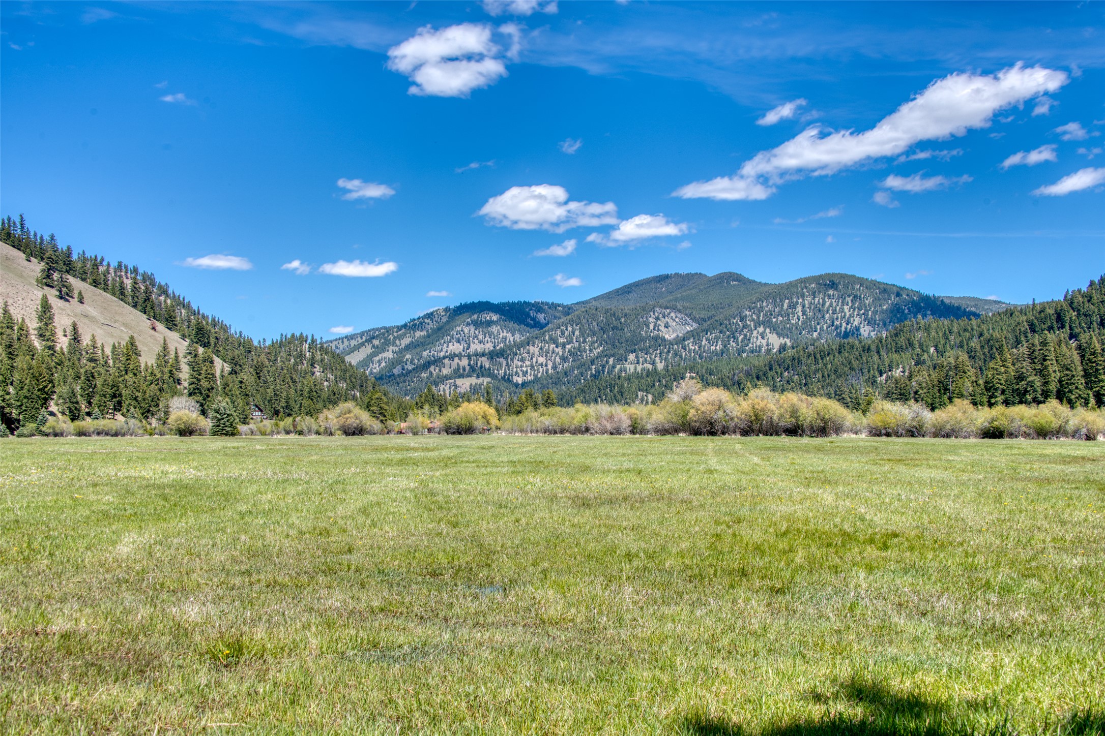 77 Alta Meadow Trail