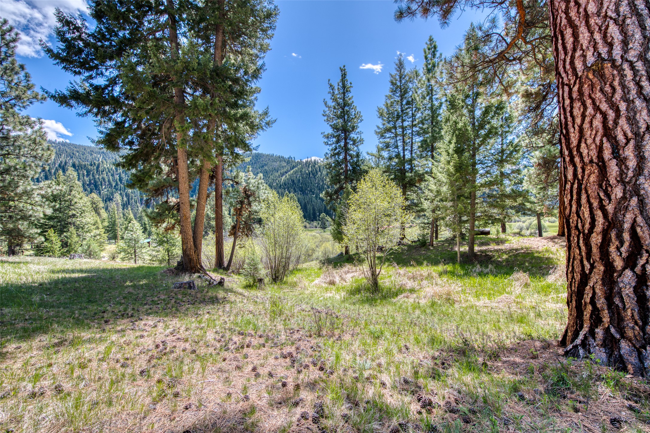 77 Alta Meadow Trail