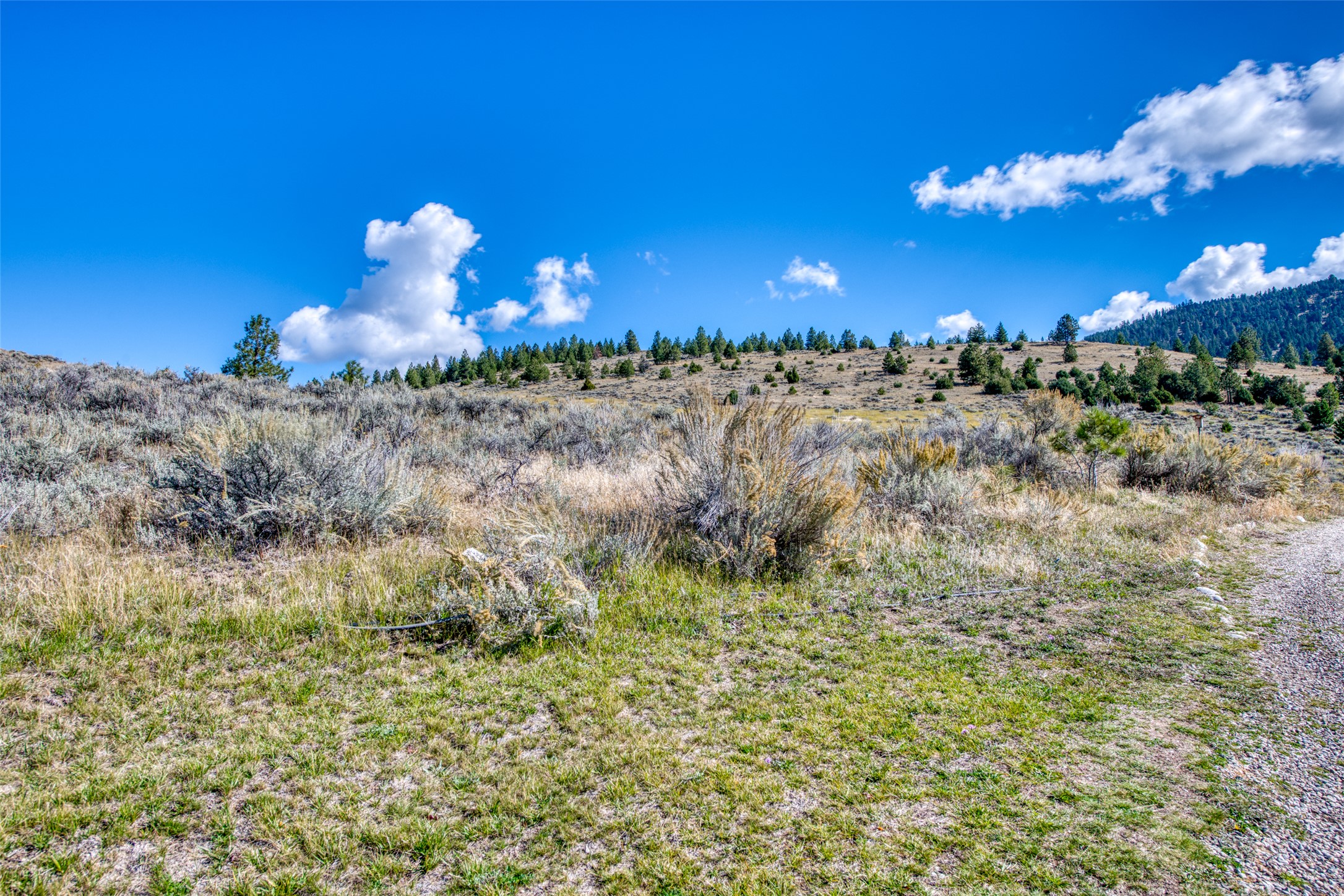 2223 Blue Sage Trail