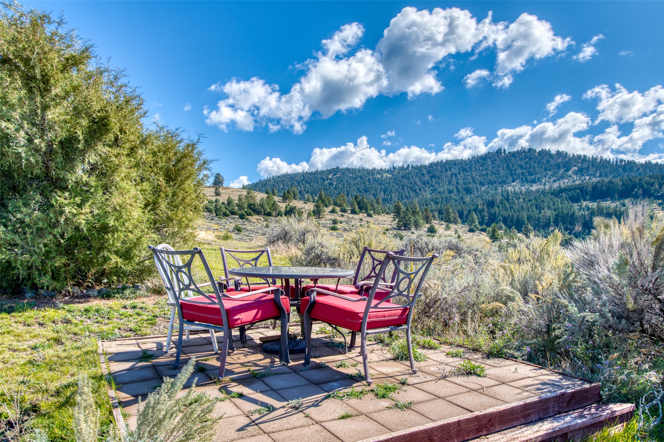 2223 Blue Sage Trail