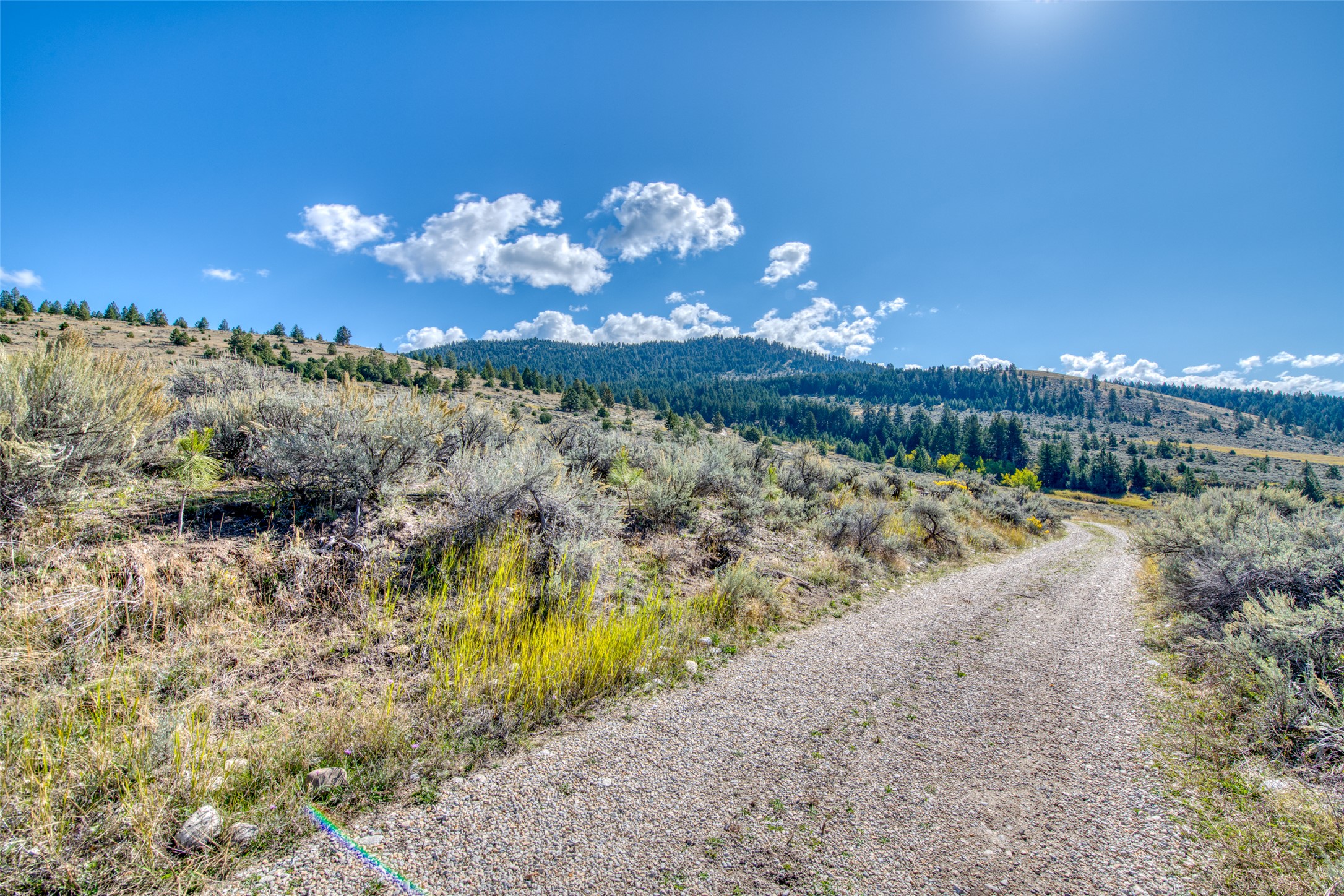 2223 Blue Sage Trail