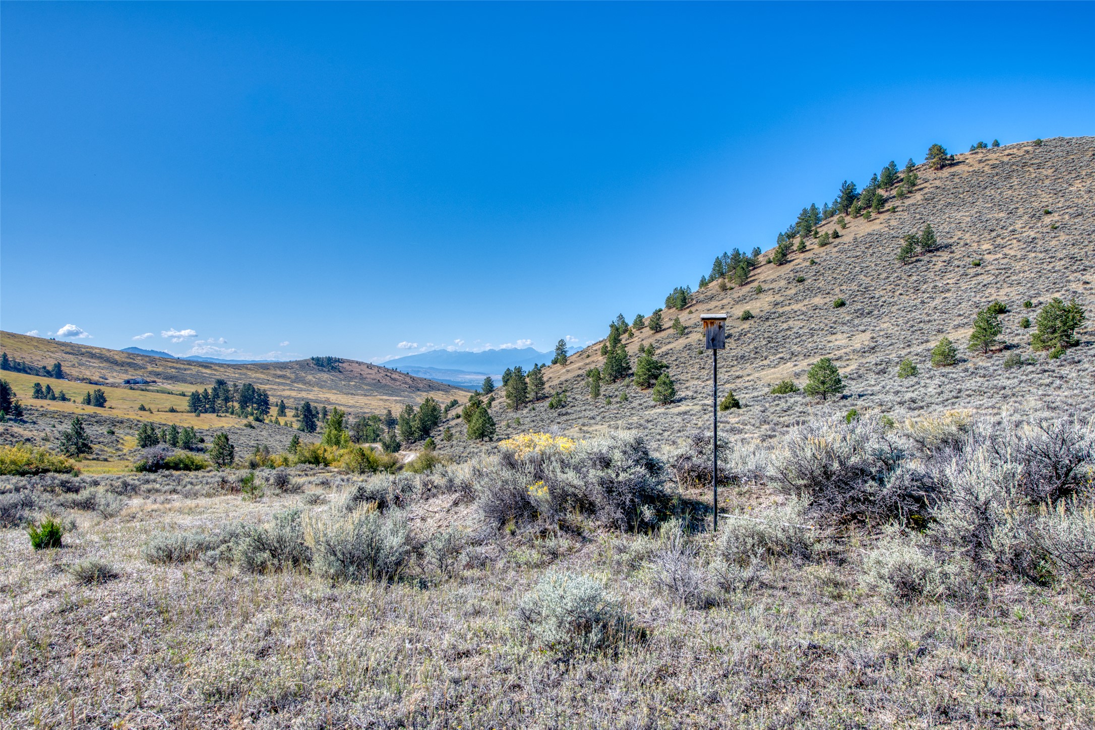 2223 Blue Sage Trail
