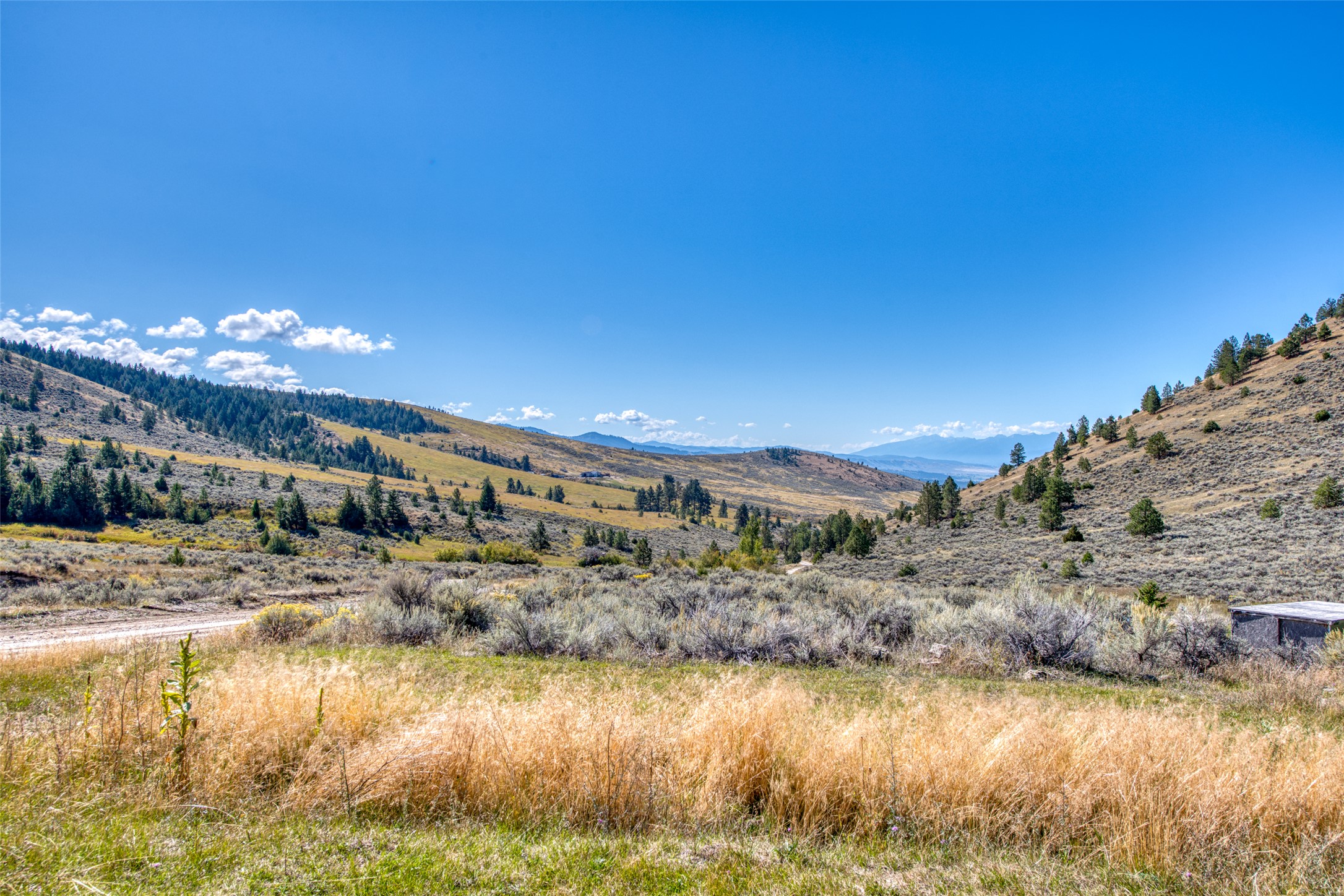 2223 Blue Sage Trail