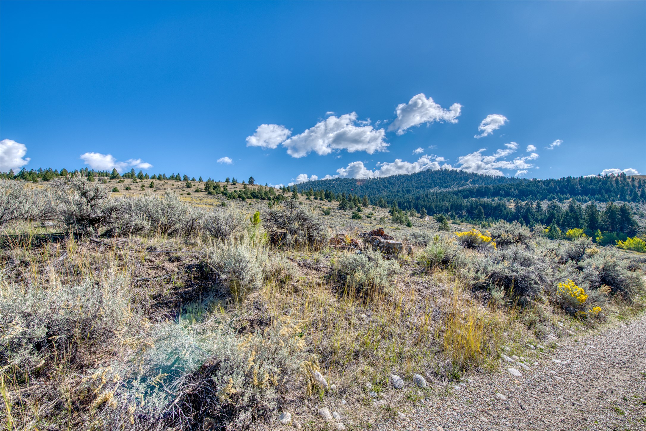 2223 Blue Sage Trail