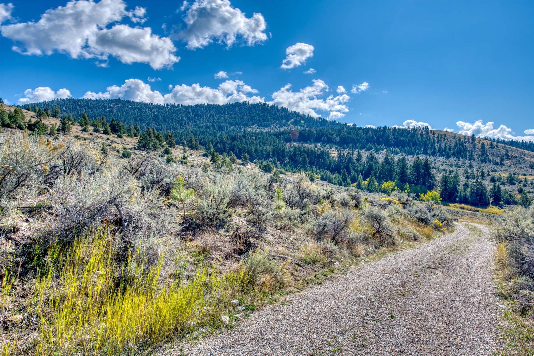 2223 Blue Sage Trail