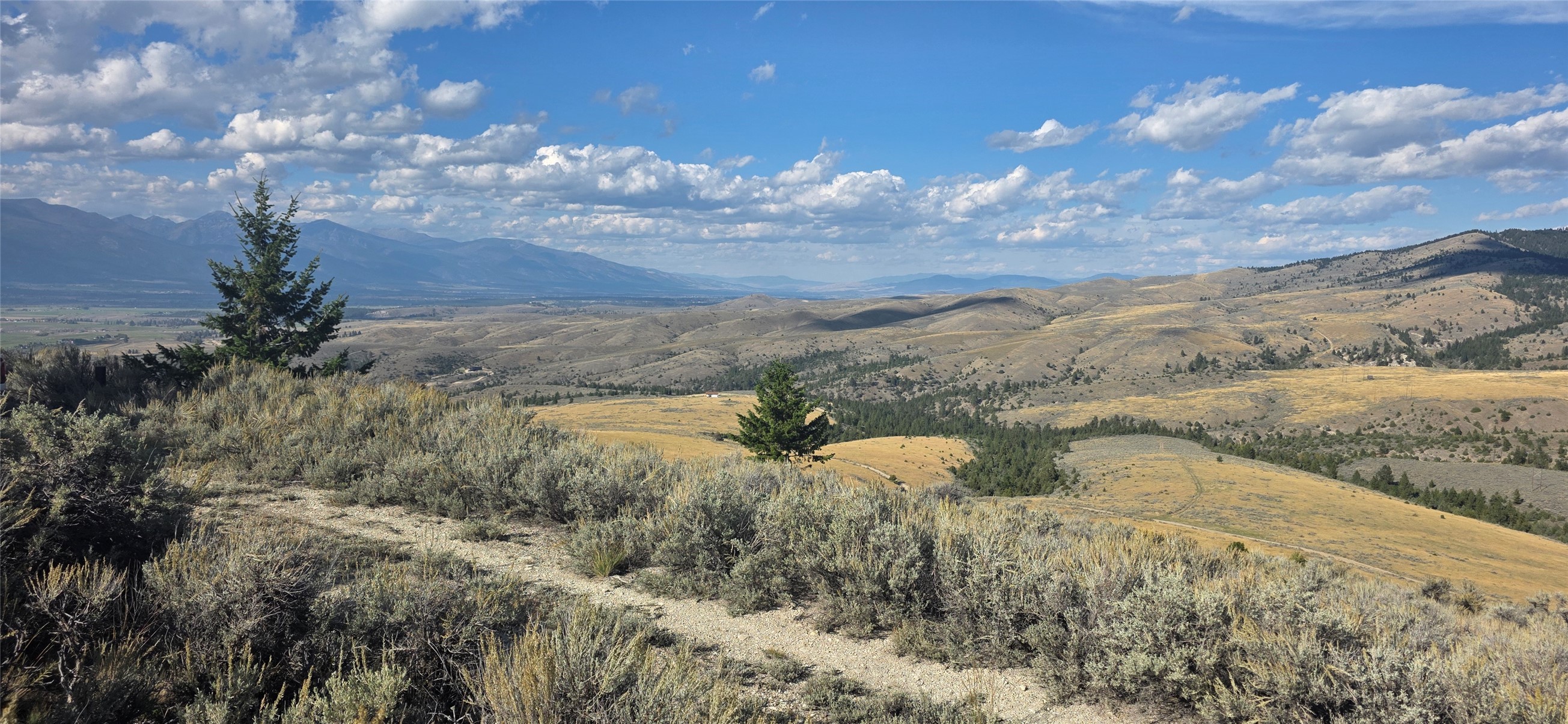 Open sagebrush lot with a gravel track, evergreen trees, rolling hills, and distant mountains.