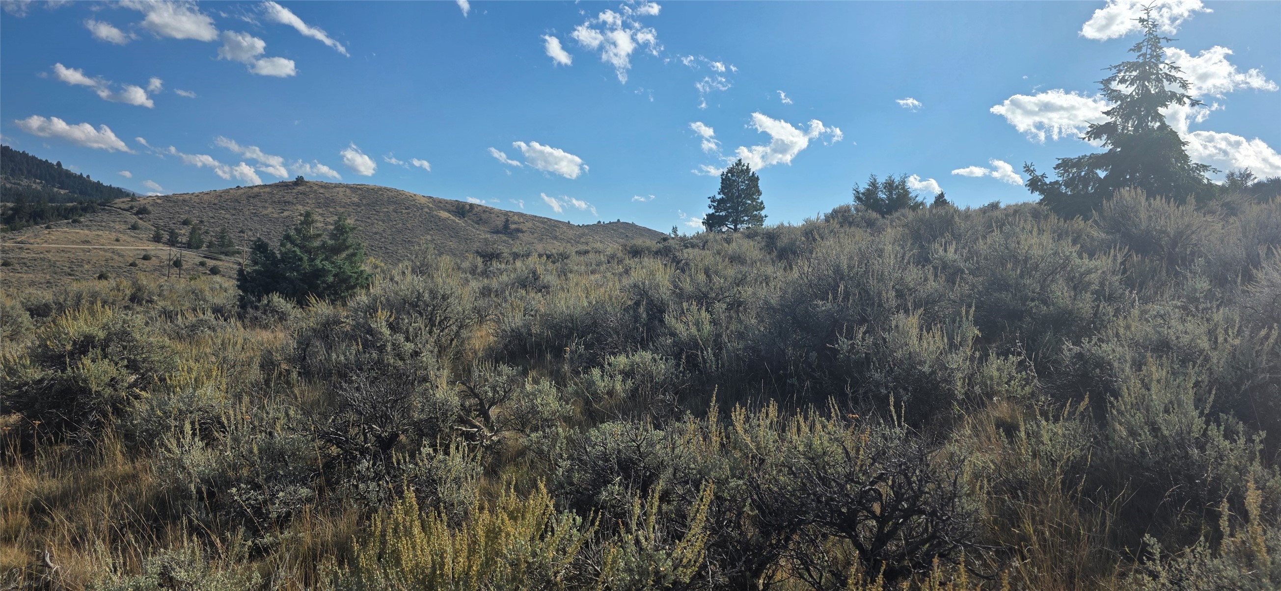 Brush-covered vacant lot with sagebrush and grasses, rolling hills, scattered trees, and distant utility lines.