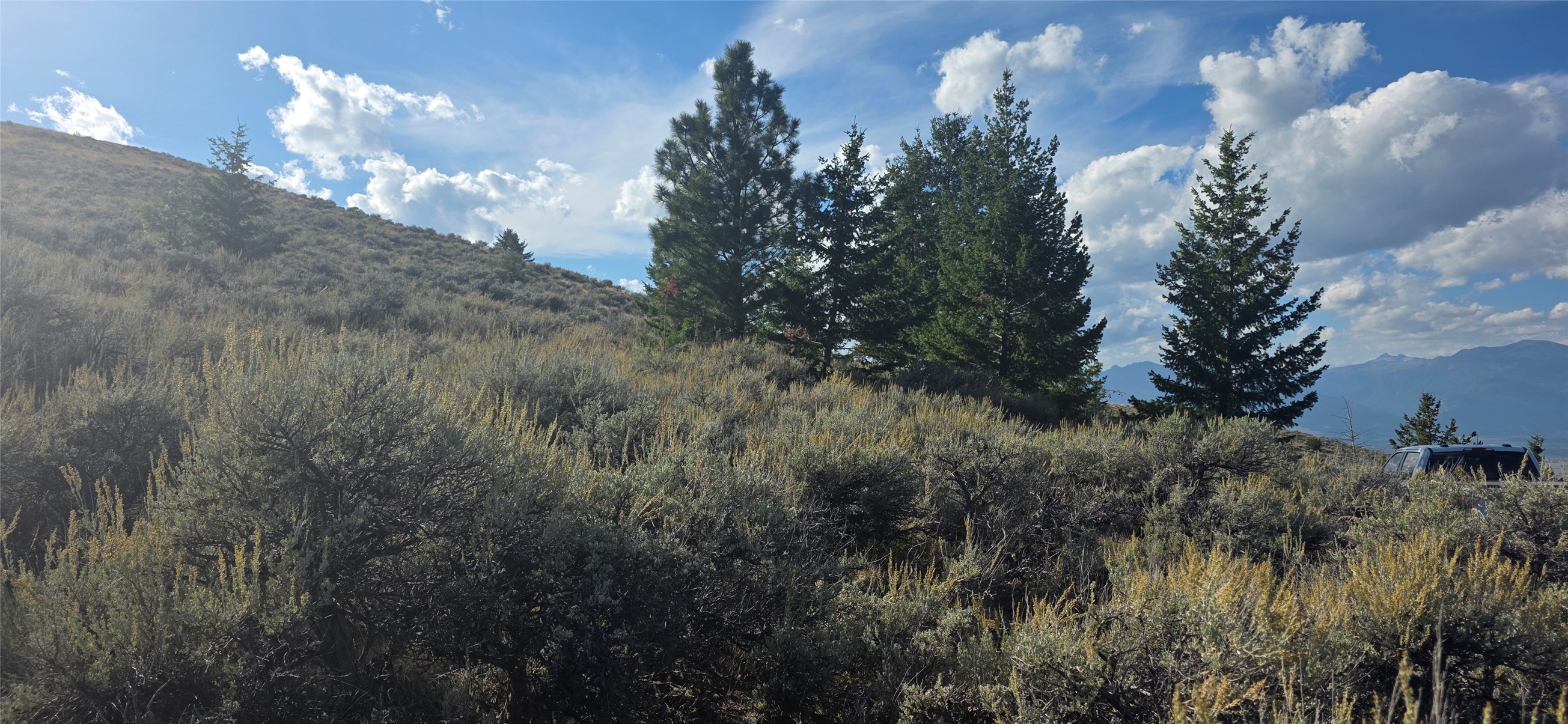 Brush-covered hillside lot with evergreen trees and distant mountain views.