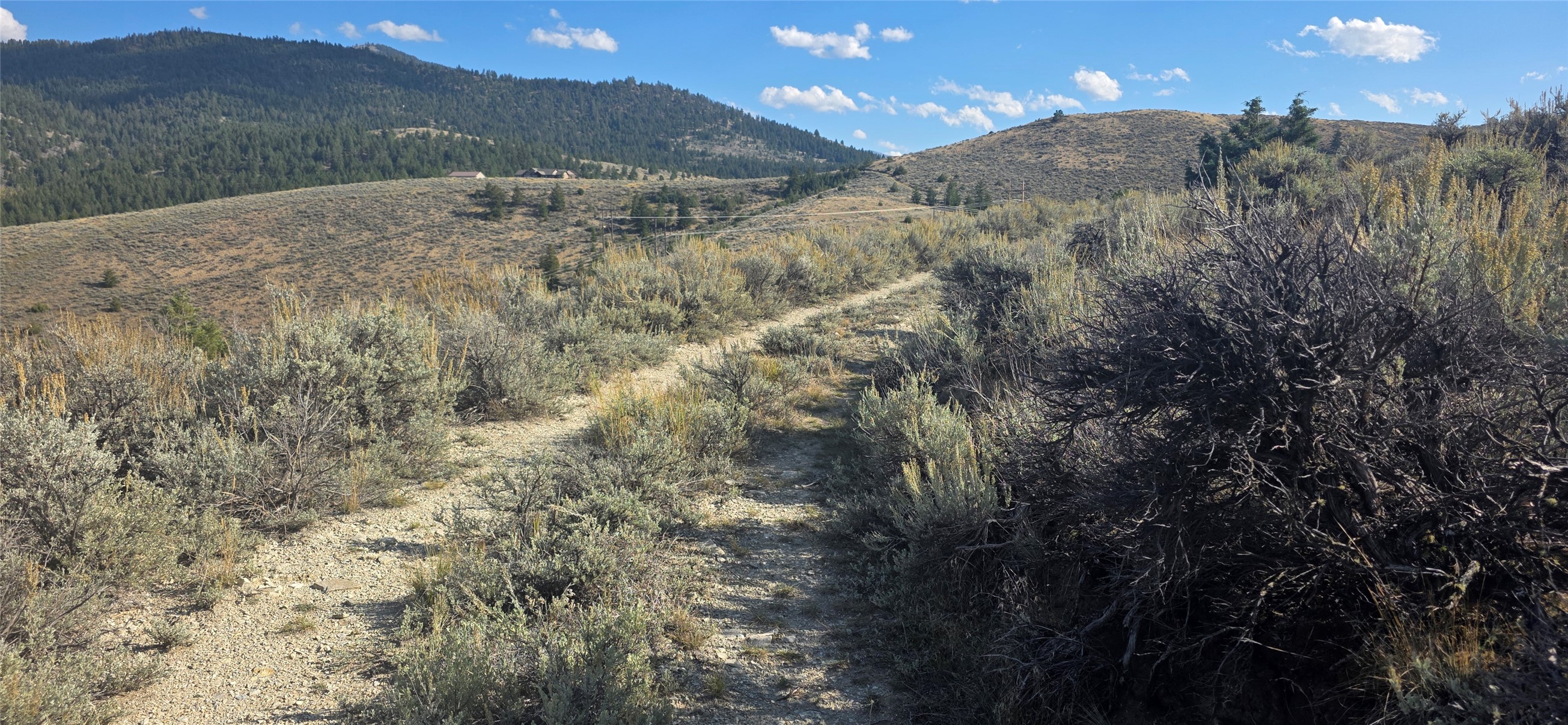 Vacant sagebrush lot with a dirt track and forested mountain views.