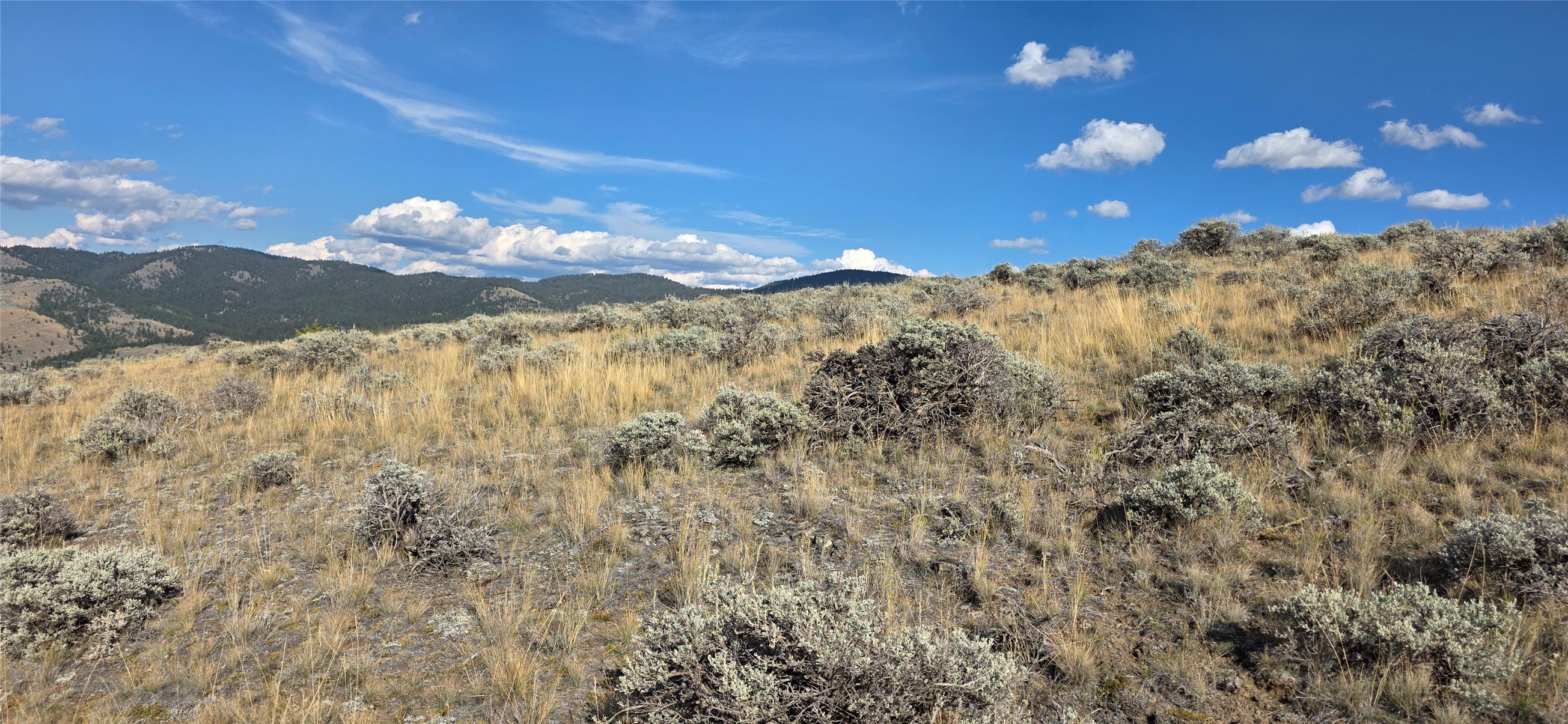 Sagebrush-covered hillside lot with dry grass and forested mountain ridges in the distance.