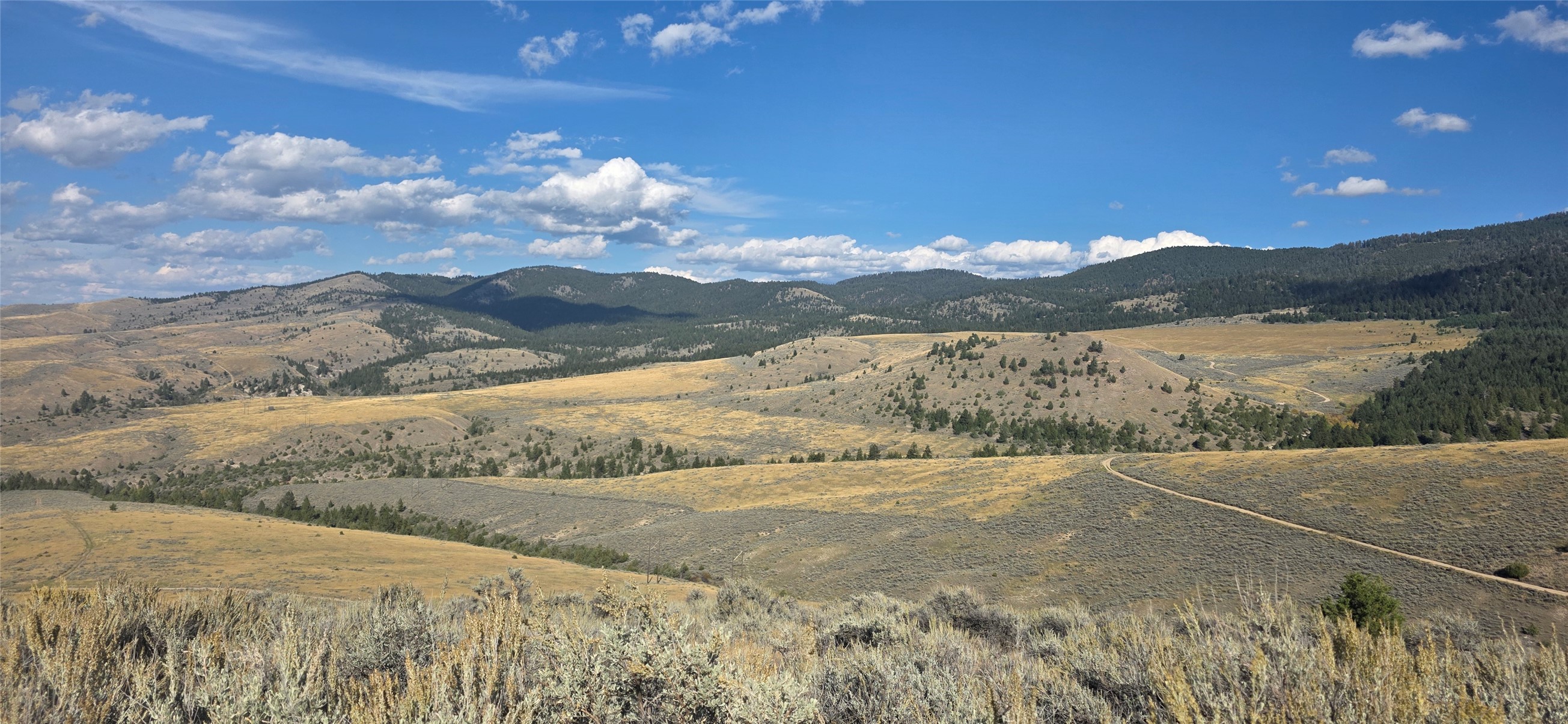Vacant lot with sagebrush and rolling hills, a winding dirt road, and wooded mountain views.