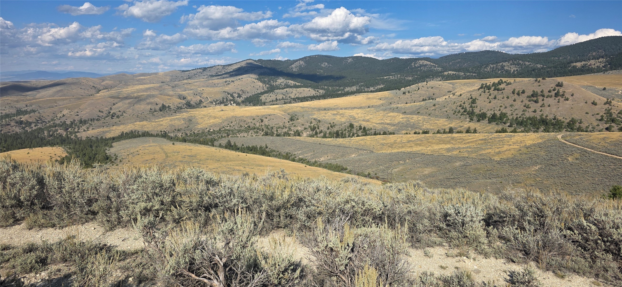 Undeveloped sagebrush lot overlooking rolling hills and forested mountain ridges.