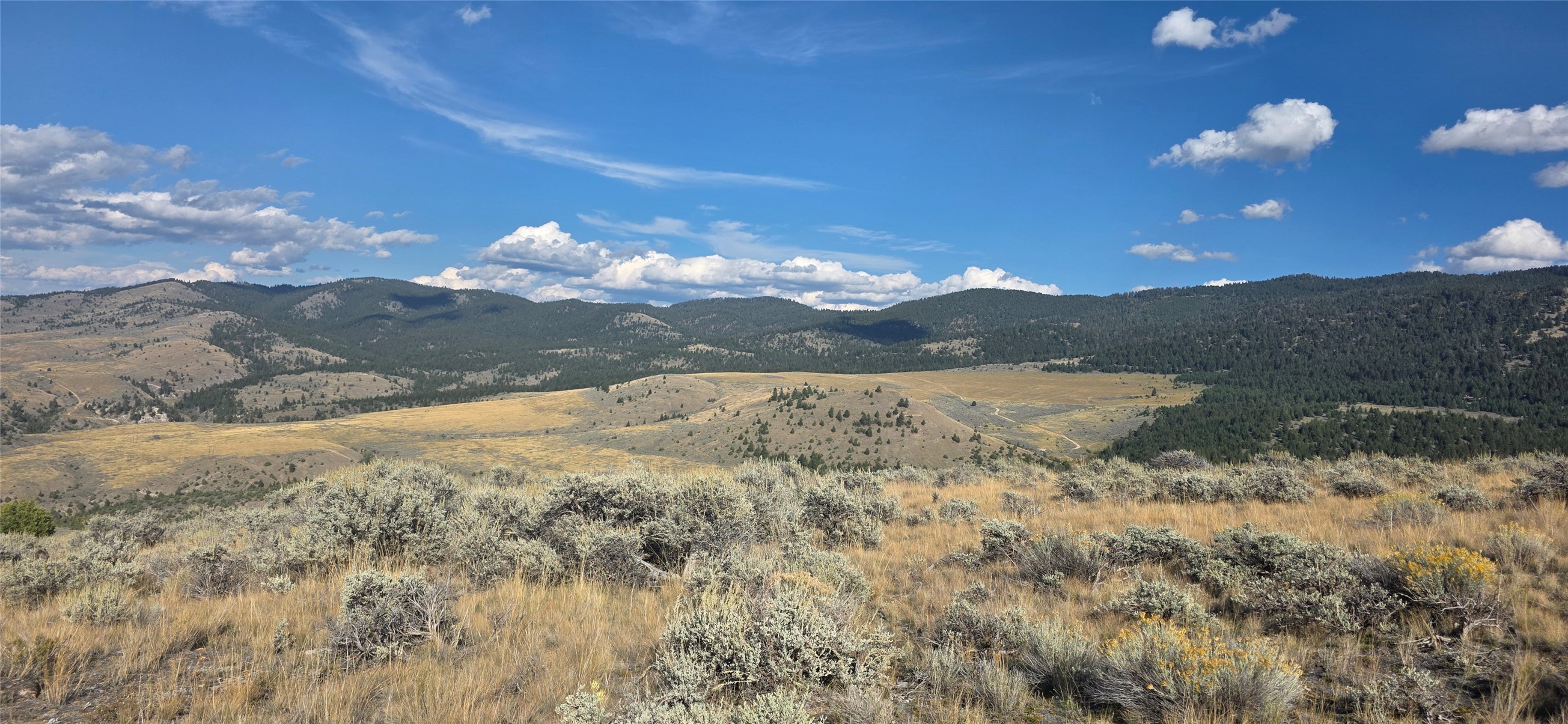 Open sagebrush land and golden grasses overlook rolling hills and forested mountains.