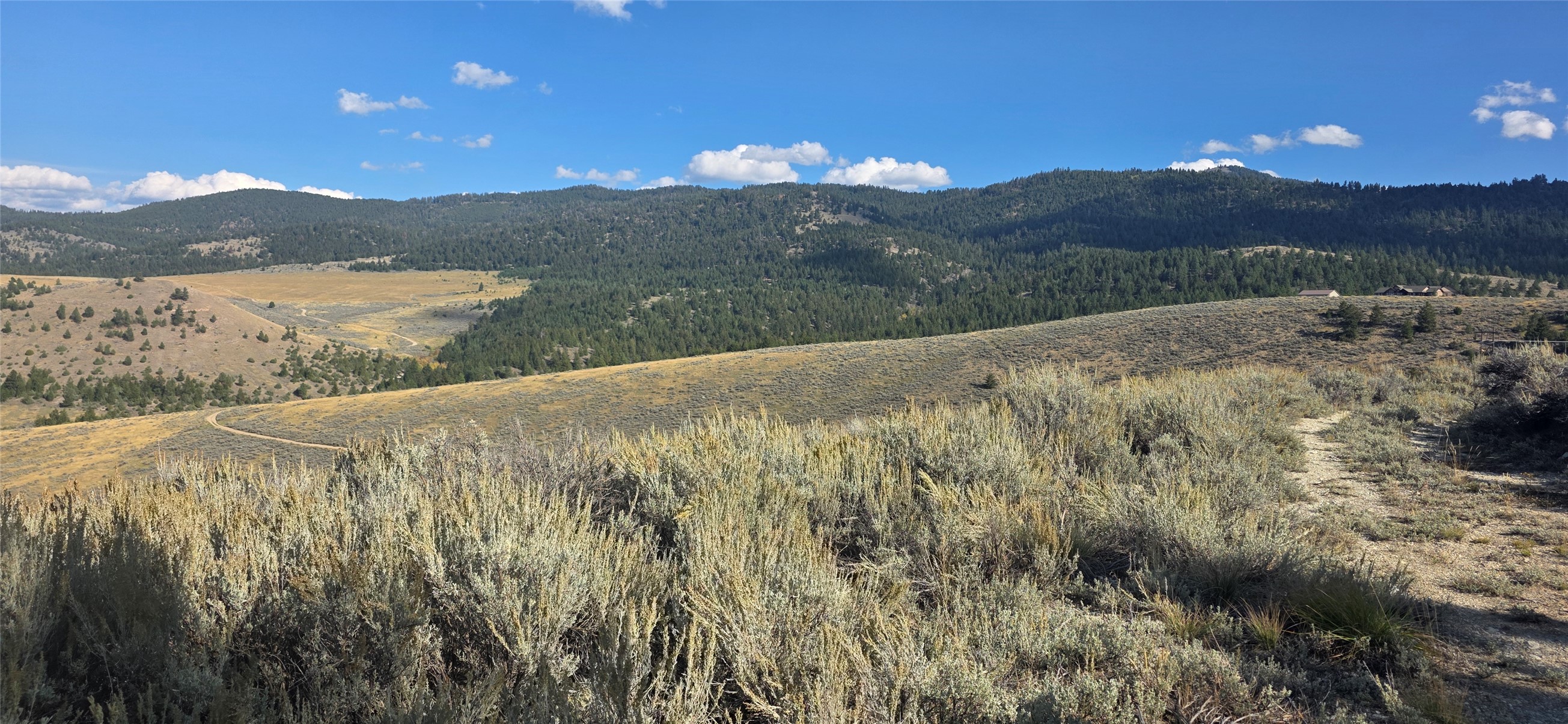 Sagebrush-covered lot with a winding dirt track and forested mountains in the distance.