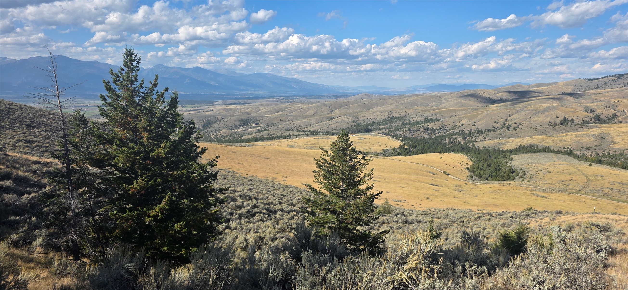 Vacant sagebrush lot with scattered pines, rolling hills, and distant mountain views.