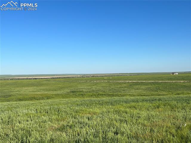 35520 County Road 160