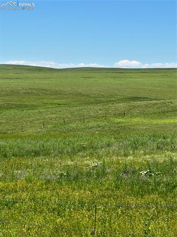 35520 County Road 160