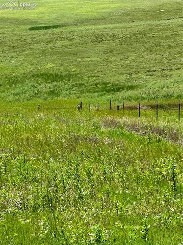 35520 County Road 160