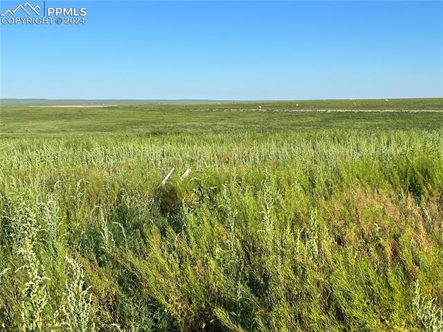 35520 County Road 160