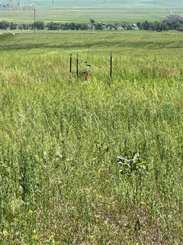 35520 County Road 160