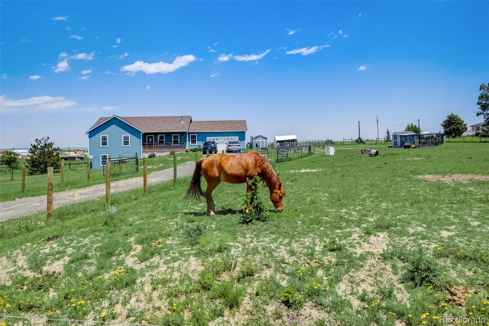 7481 Shenandoah Drive