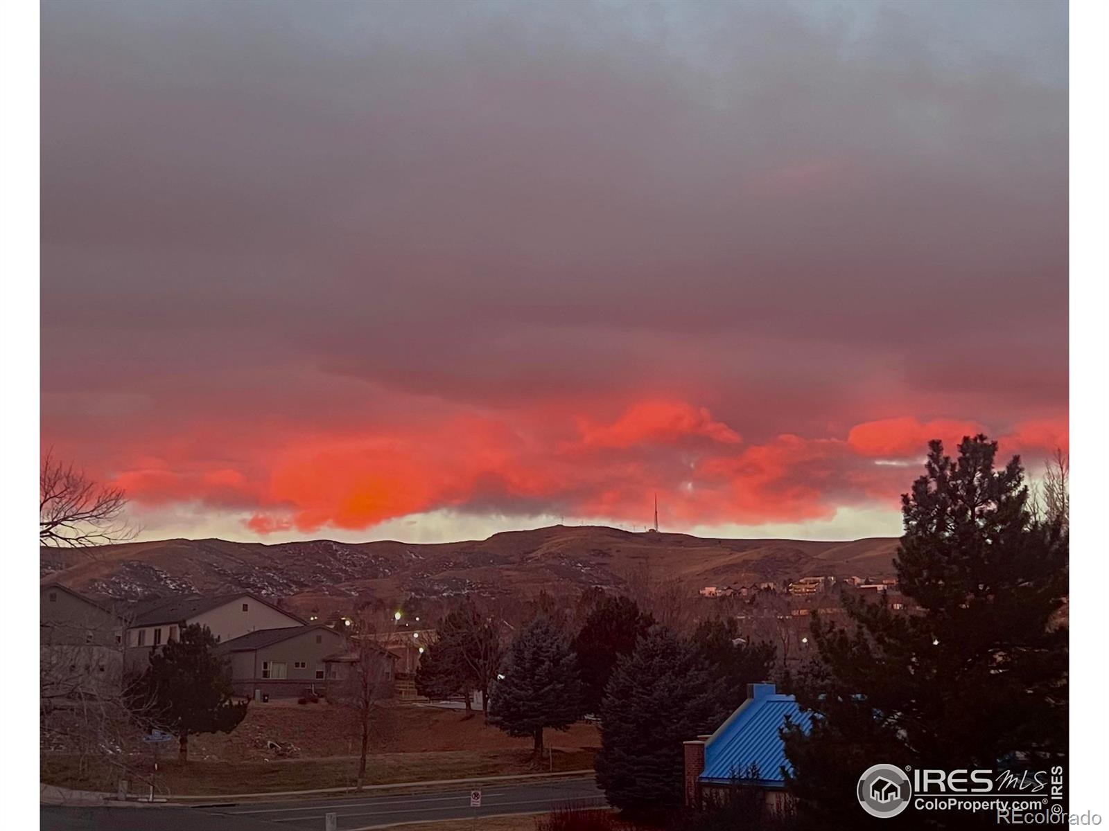 857 S Van Gordon Court Unit: 204