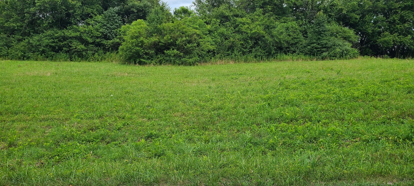 0 18th Ave S - Lot 23