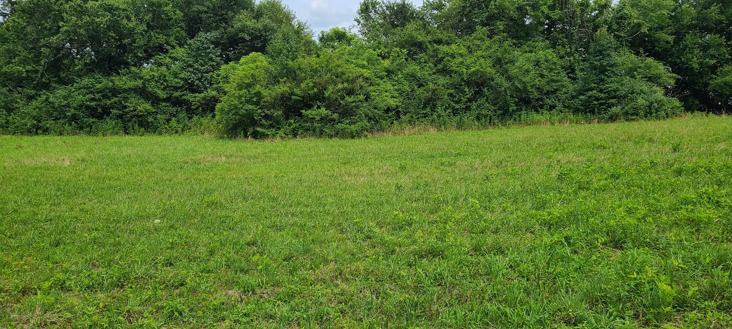0 18th Ave S - Lot 23