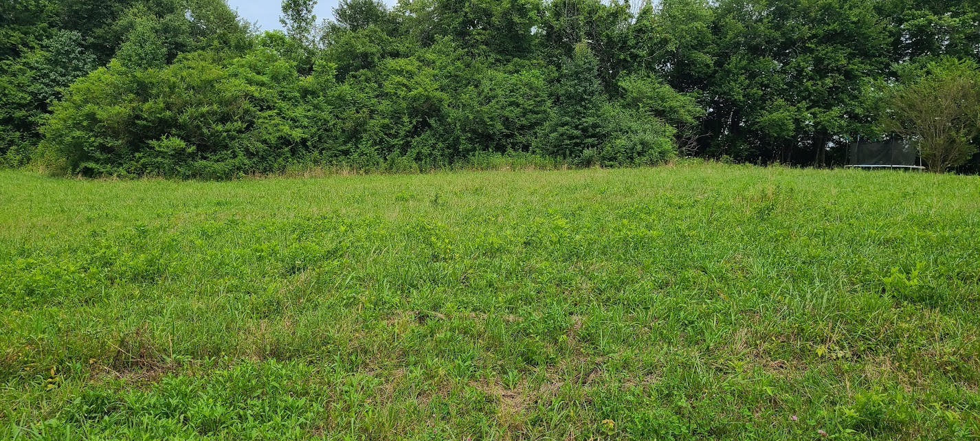 0 18th Ave S - Lot 23