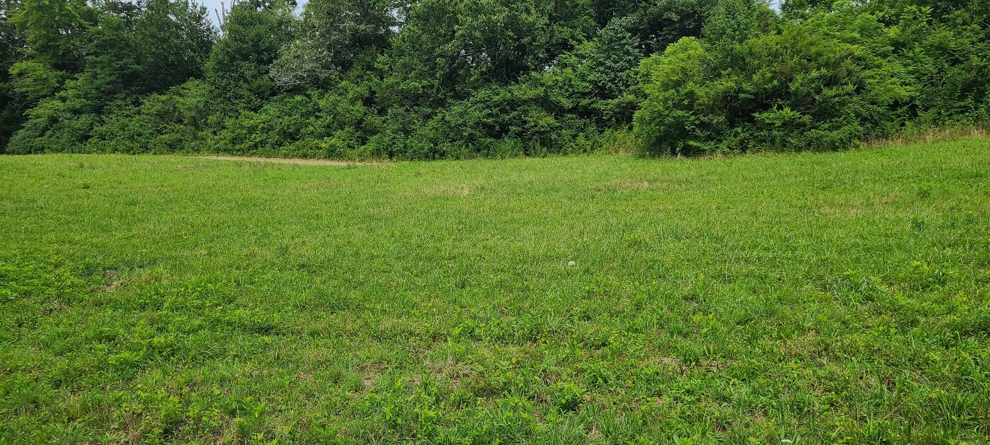 0 18th Ave S - Lot 23