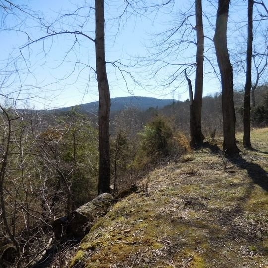 71 Mayfield Rd