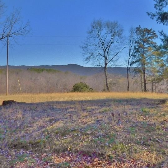 71 Mayfield Rd