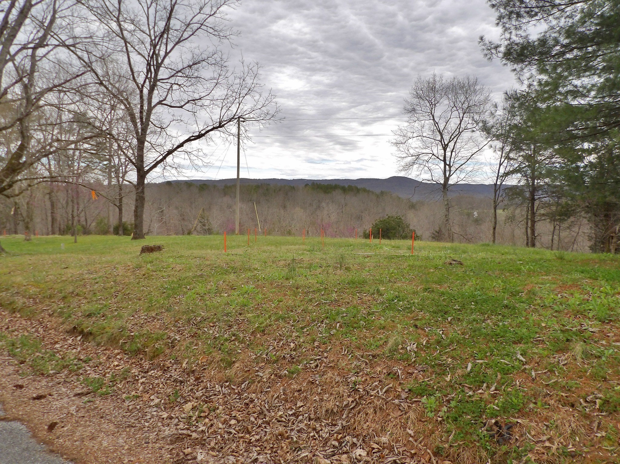71 Mayfield Rd