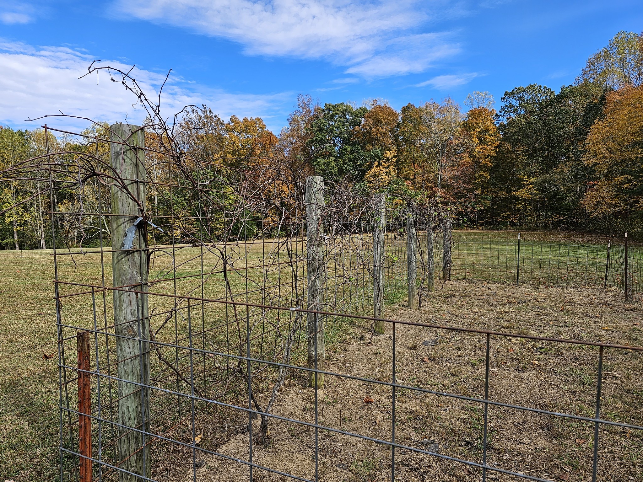 1494 Turkey Creek Loop