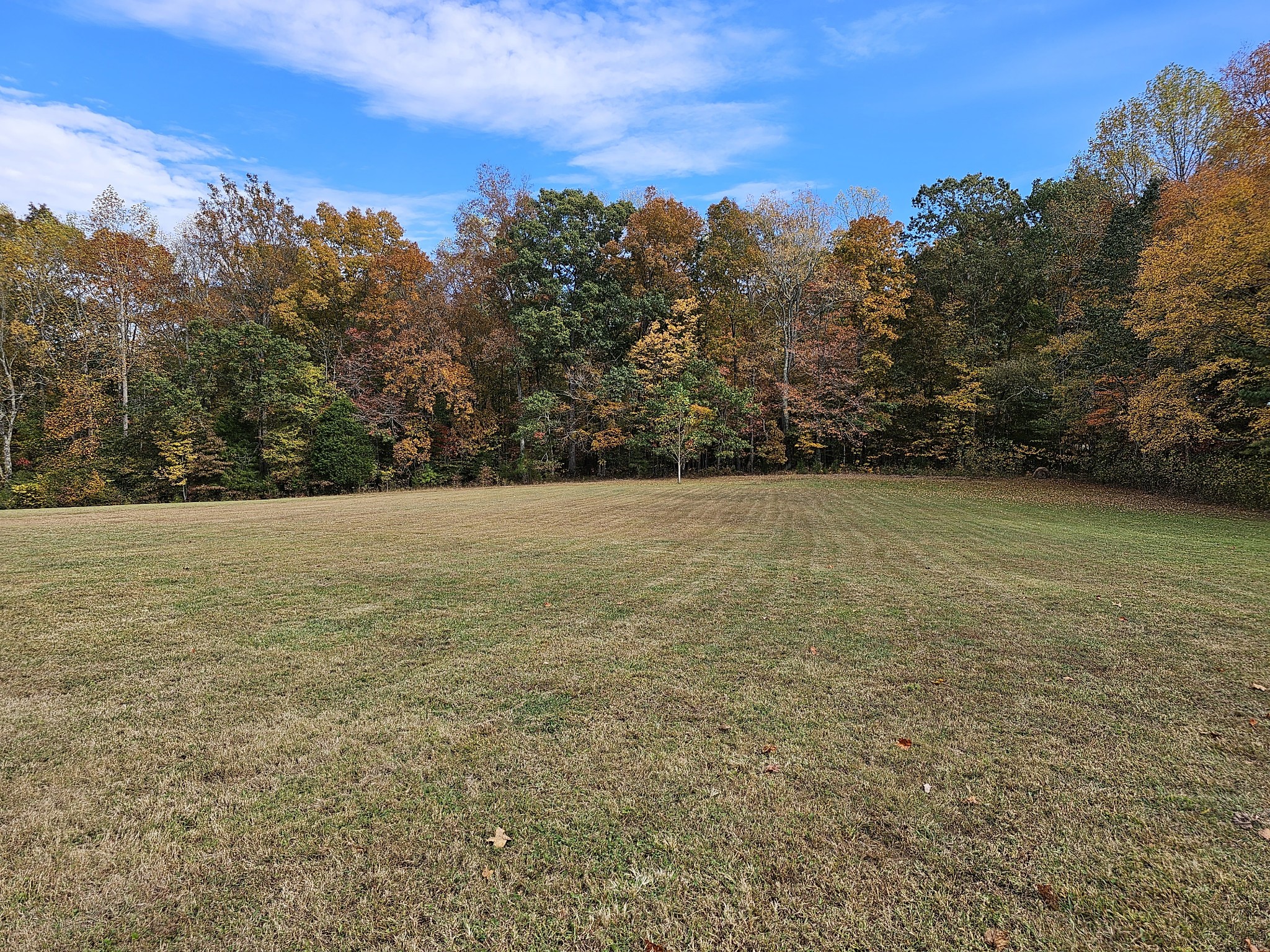 1494 Turkey Creek Loop