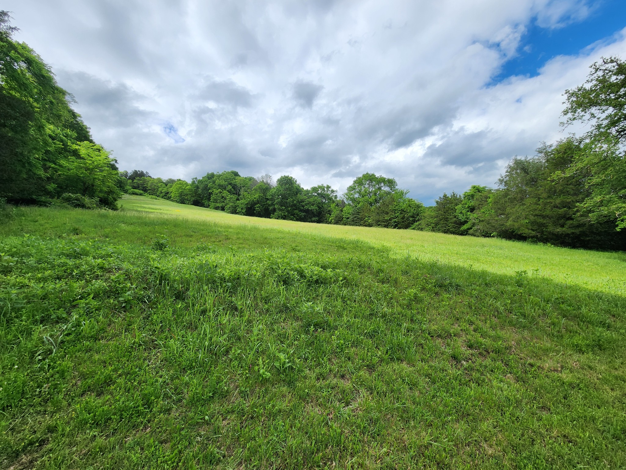 164 Cooper Branch Rd