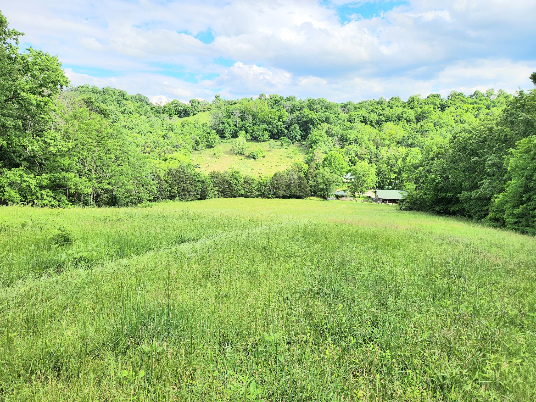 164 Cooper Branch Rd