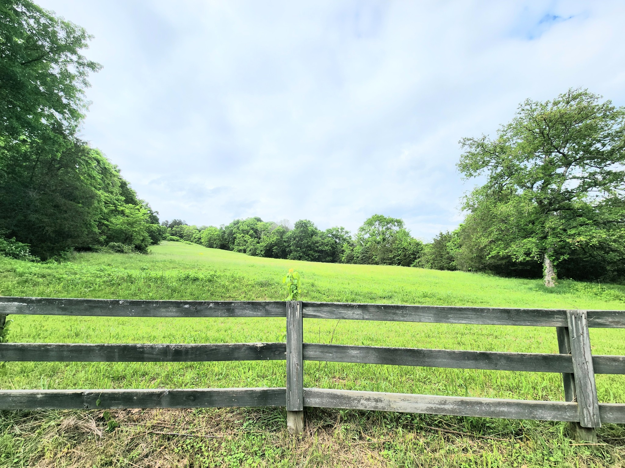 164 Cooper Branch Rd